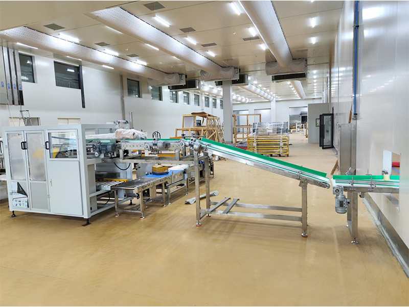 confezionatrice automatica forzen food