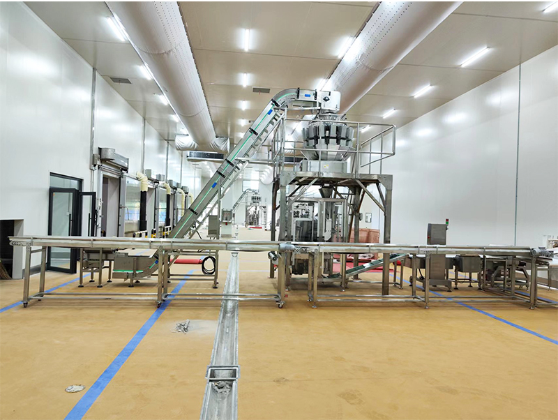 confezionatrice automatica forzen food